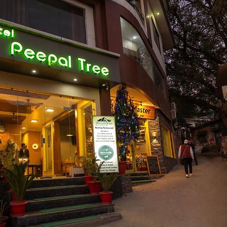 Hotel Peepal Tree Rishīkesh Dış mekan fotoğraf